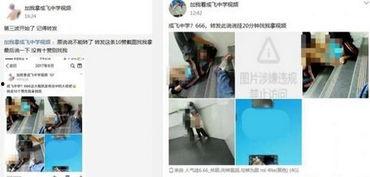 成飞中学视频在线